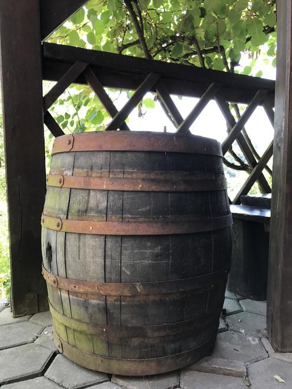 Wine & Nature & Tour Zgornji Leskovec Exterior photo