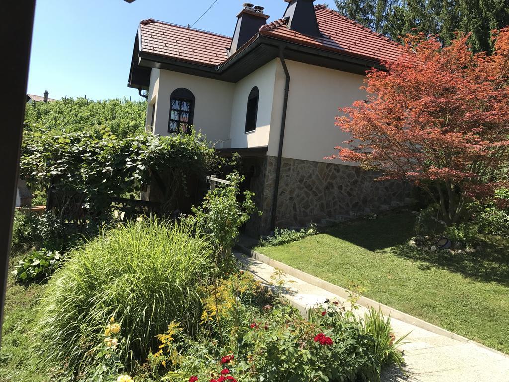 Wine & Nature & Tour Zgornji Leskovec Exterior photo