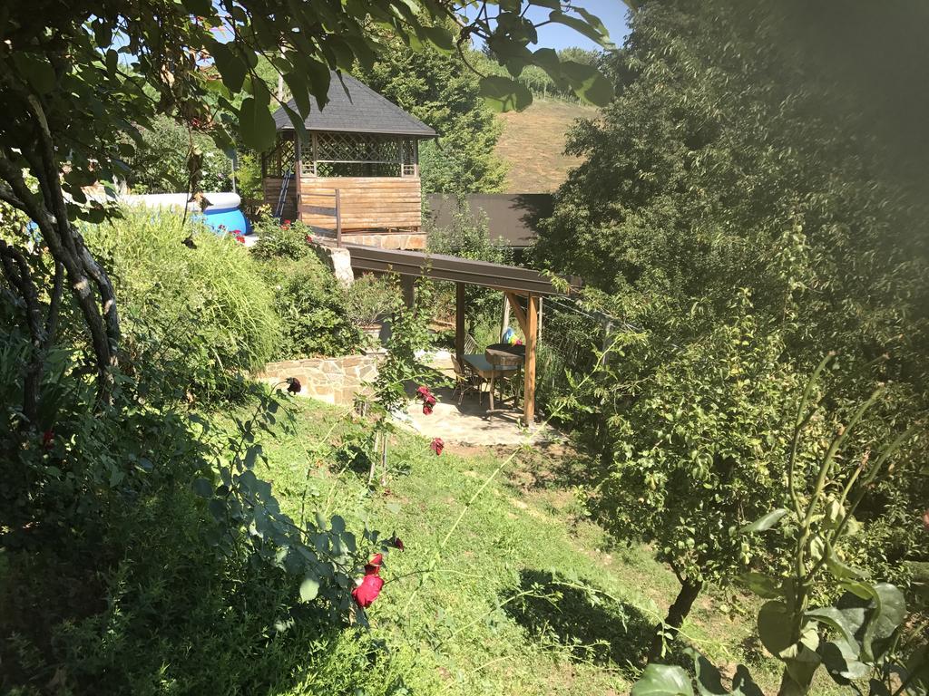 Wine & Nature & Tour Zgornji Leskovec Exterior photo