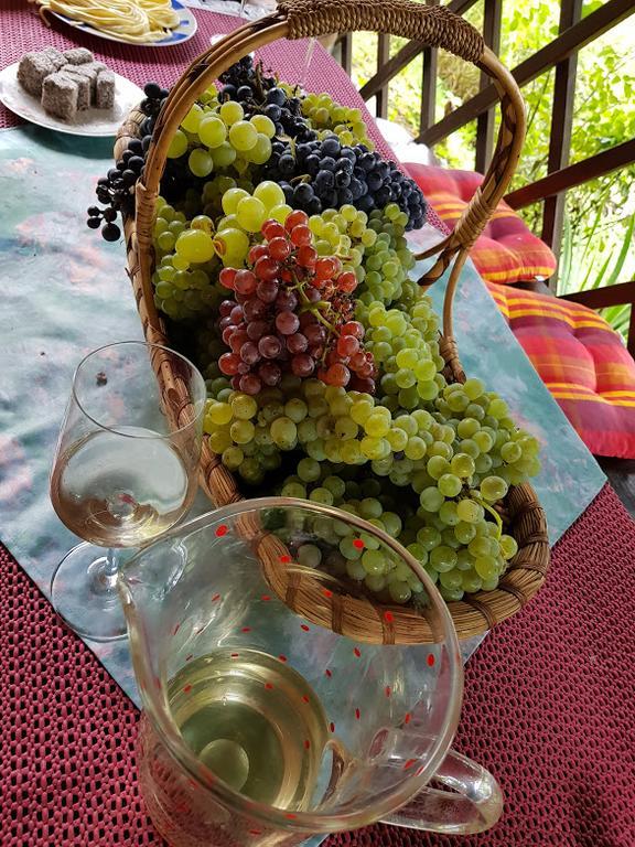 Wine & Nature & Tour Zgornji Leskovec Exterior photo