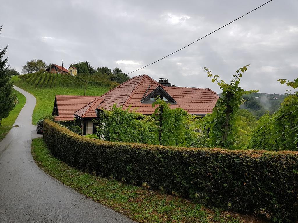 Wine & Nature & Tour Zgornji Leskovec Exterior photo